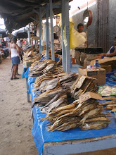 poissons sêchés, Tarapoto