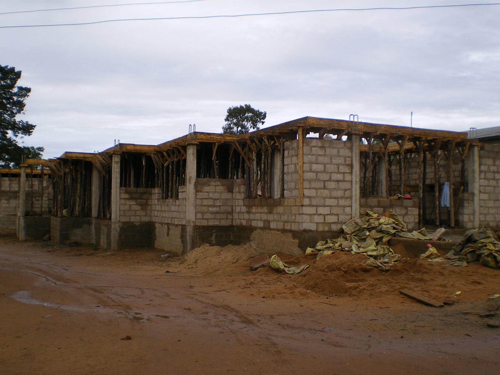 [IMGP0531.JPG]