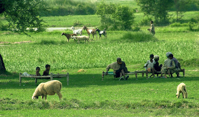 Pakistani Village Culture