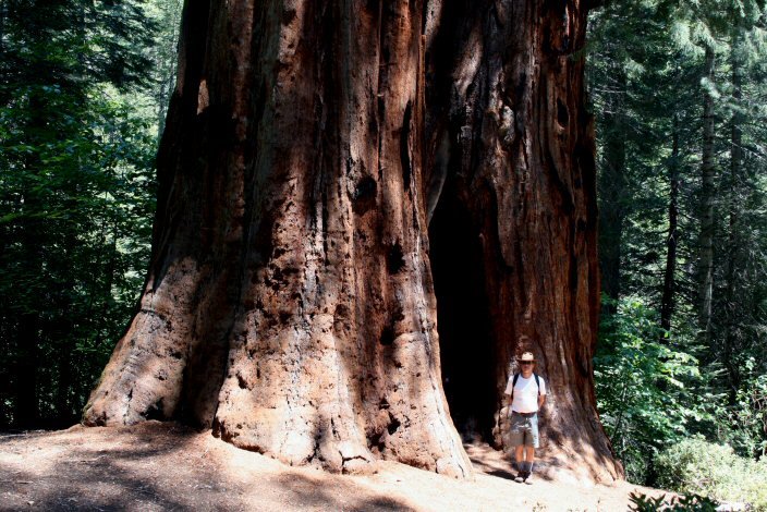 [sequoia_stem_person_small.jpg]