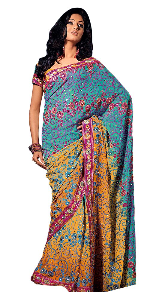 [fancySaree15.jpg]