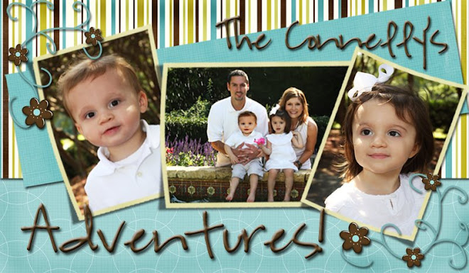 The Connelly's Adventures