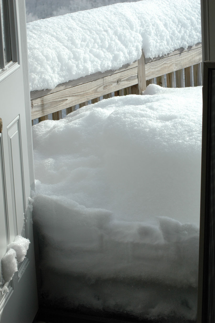 [snow+packed+fiber+deck+011010.jpg]