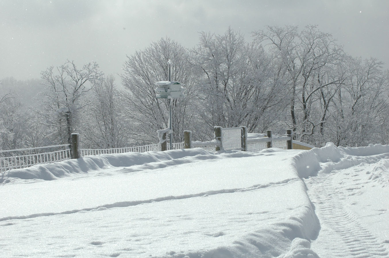 [snow+fence+011010.jpg]