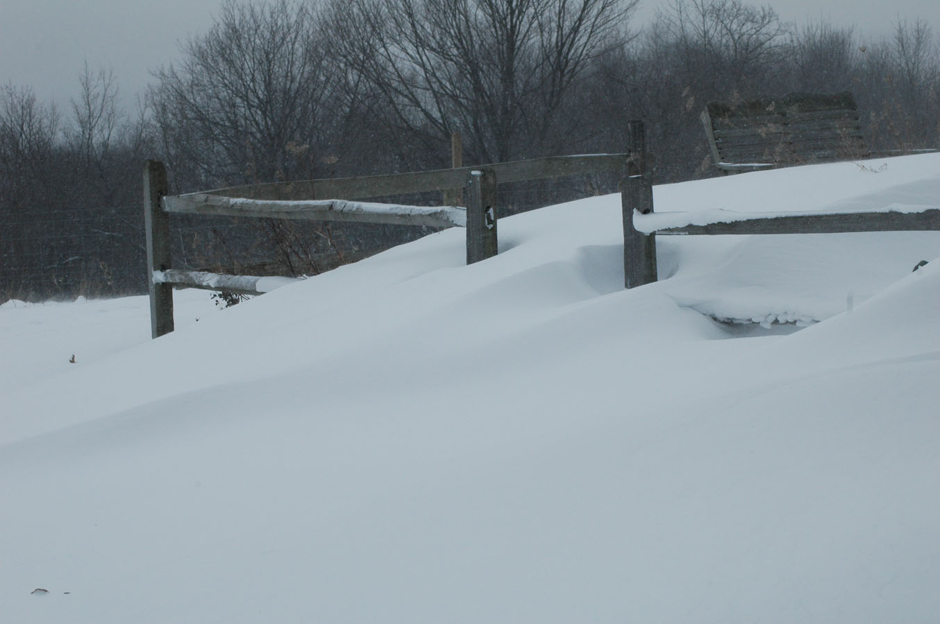 [snowdrift+a+010310.jpg]