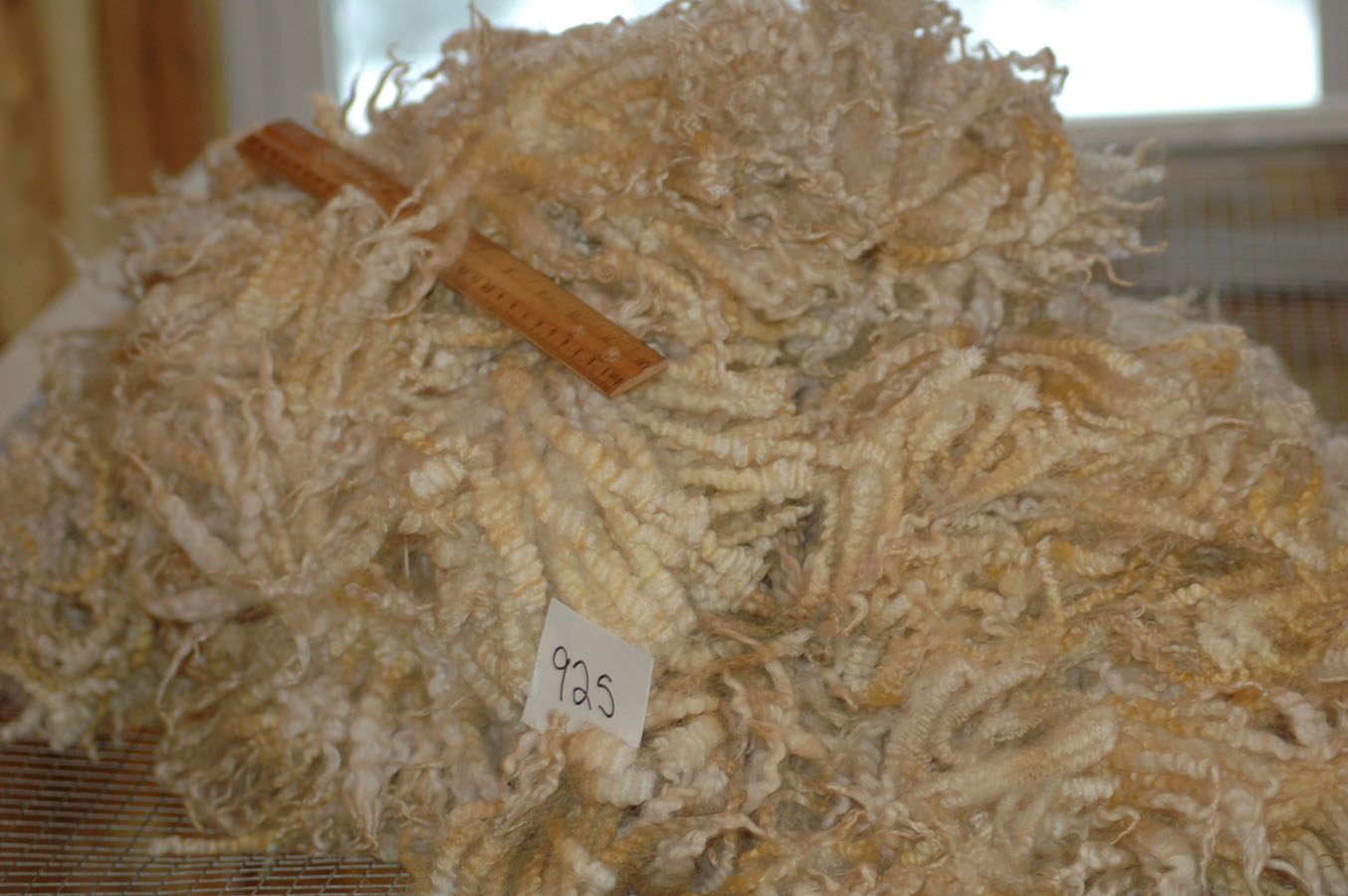 [925+fleece+f09.jpg]