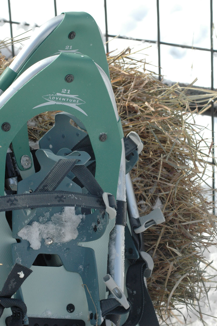[snowshoes+21401.jpg]