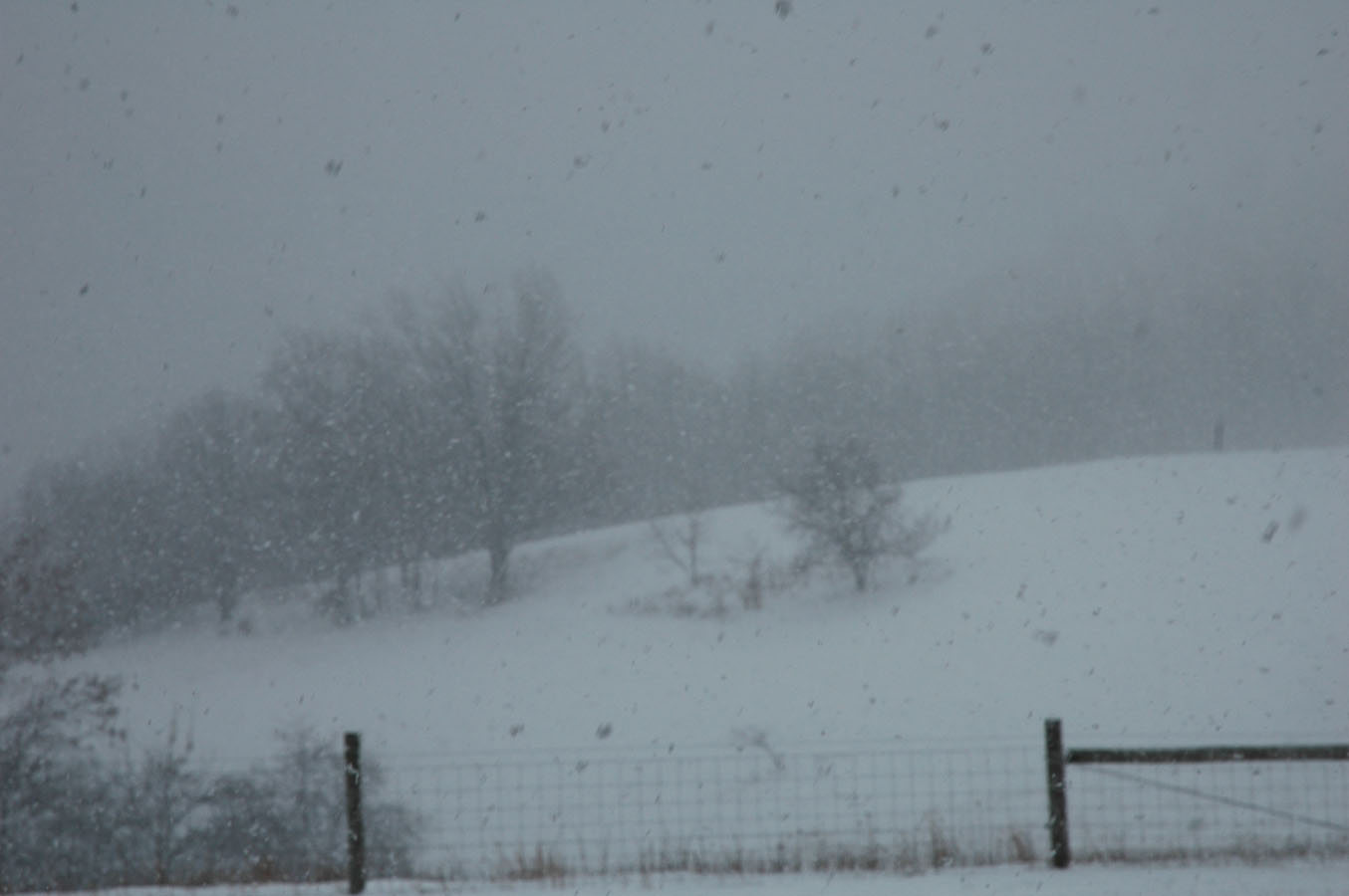 [snowstorm+111708.jpg]