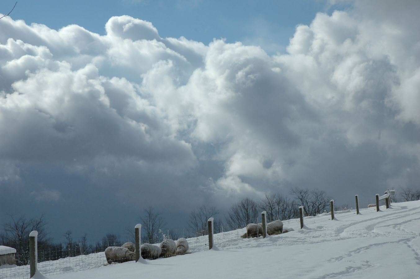 [snow+111808+lunch+timea.jpg]