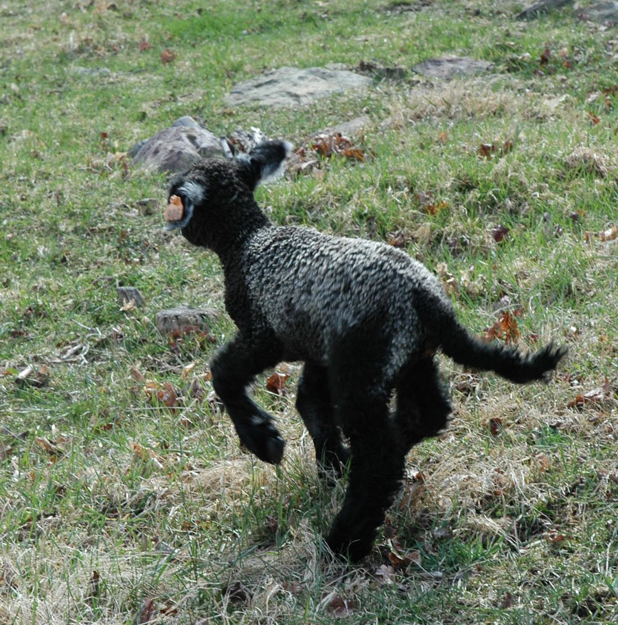 [906+ewe+033109.jpg]