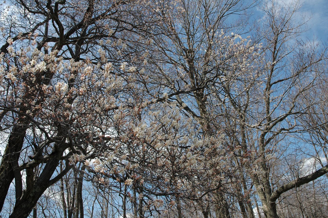 [bluer+skies+042409.jpg]