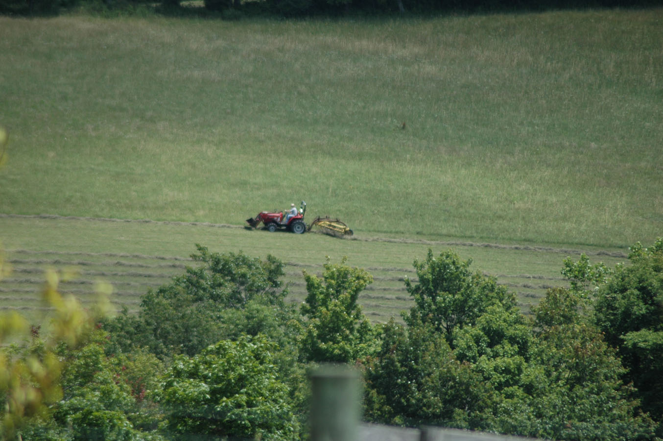 [hay+making+barn+field+a+0709.jpg]