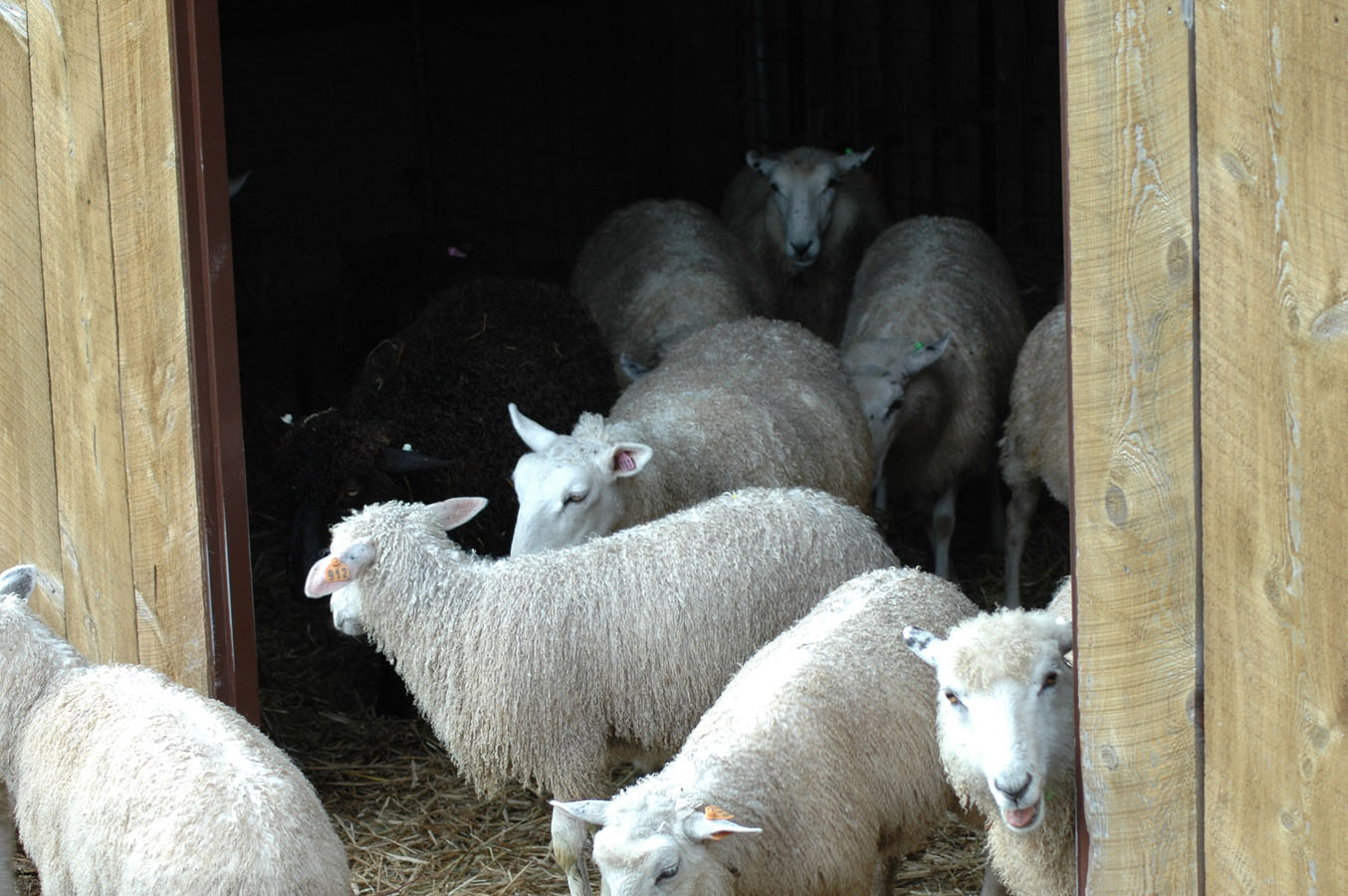 [weaning+day+071909.jpg]