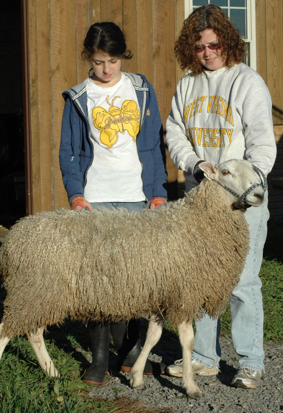 [836+yearling+ram+a+1009.jpg]