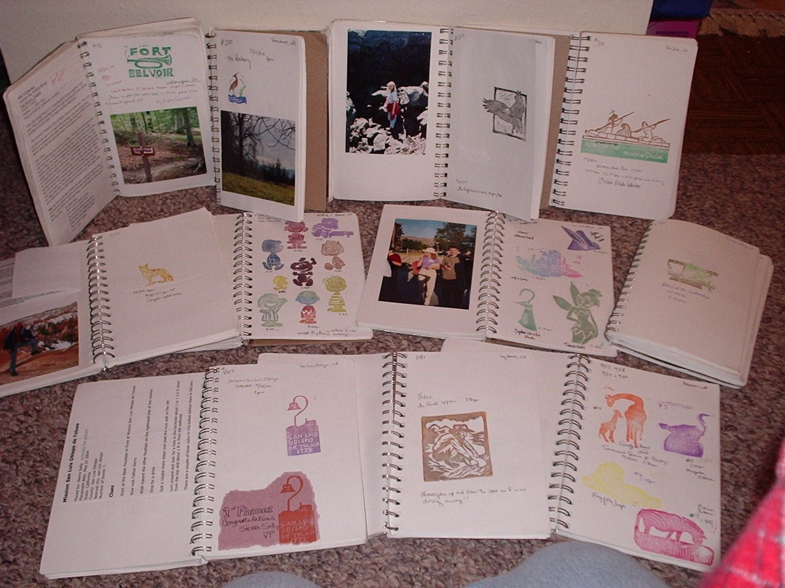 Amanda from Seattle August 2010