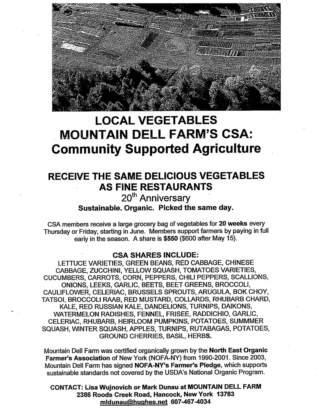 [Local+Organic+Farming.JPG]