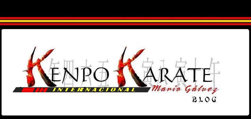 Kenpo Karate Mario Galvez Blog