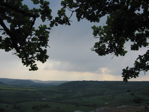 [Le+chÃªne+(1).jpg]