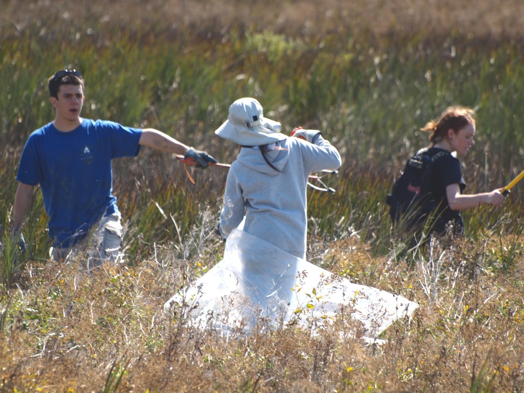 [20090919+SV+coastal+cleanup_107a.jpg]