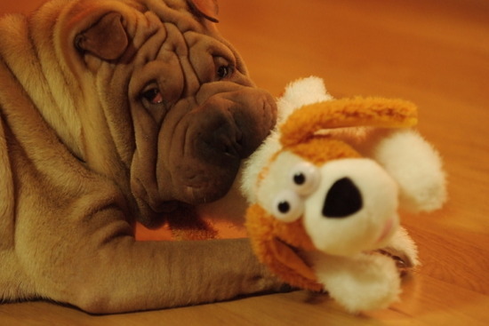 [gaho3.jpg]