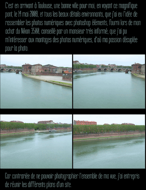 Photos du Pont Neuf de Toulouse