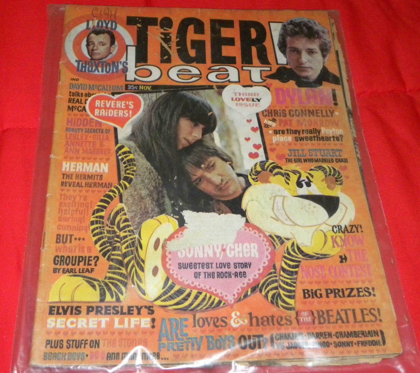 Cheap Tiger Beat Magazine Subscription