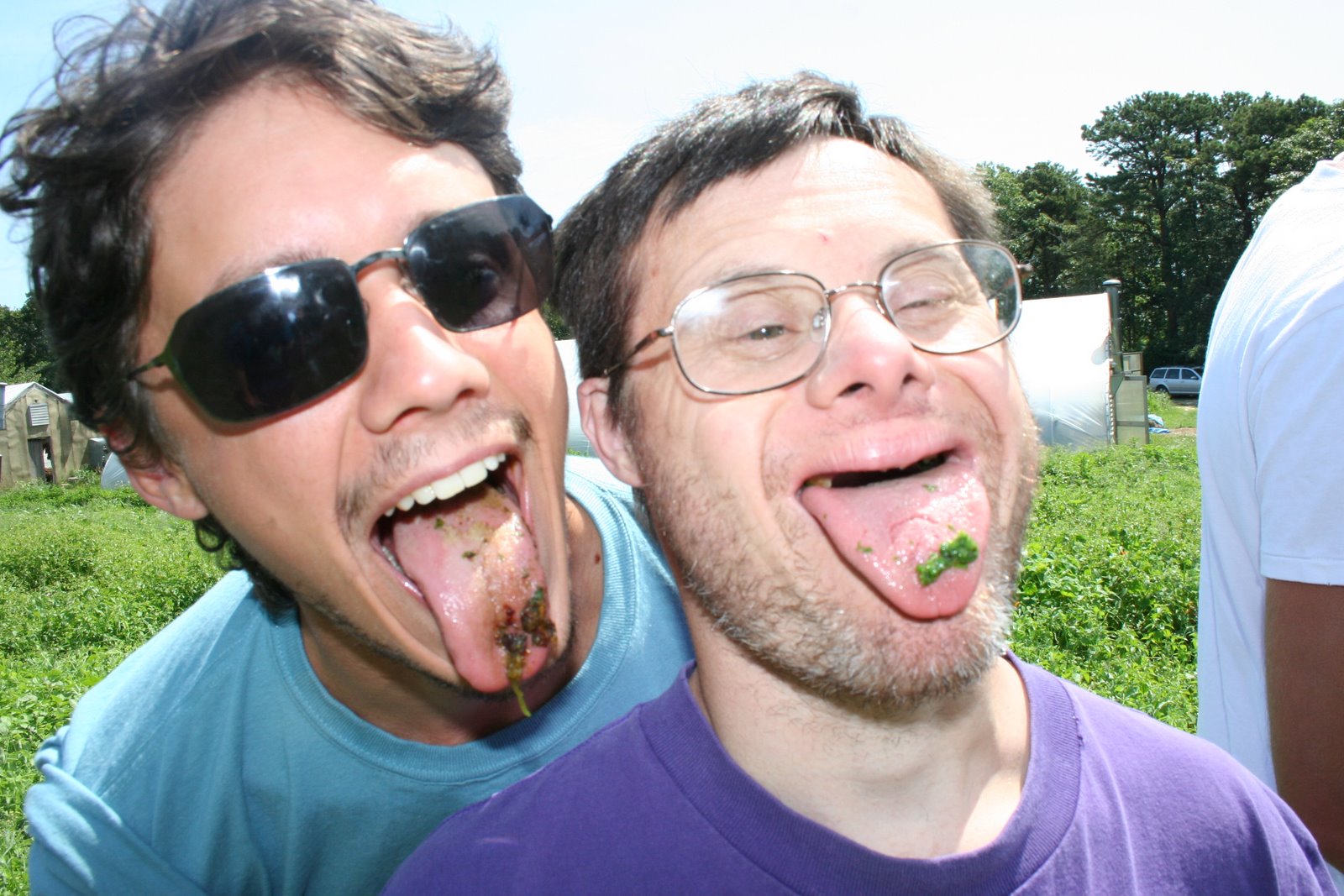 [sly+taste.JPG]
