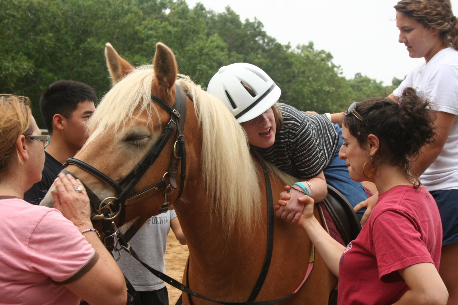 [horse-taylor.JPG]