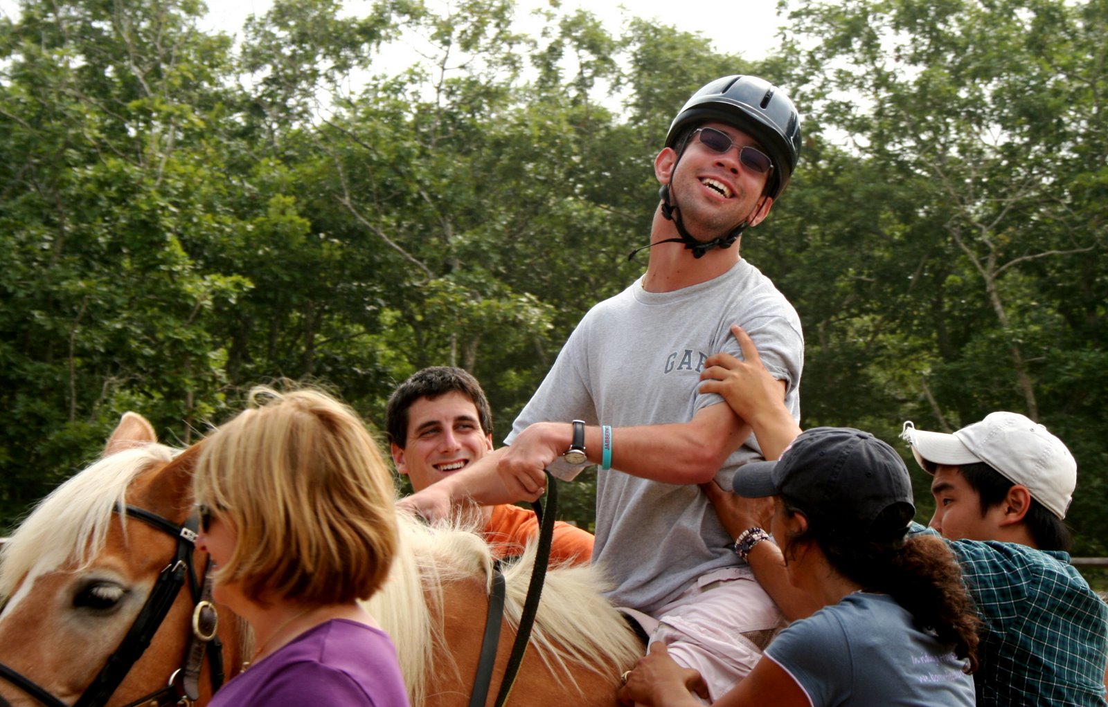 [horse-paul.JPG]