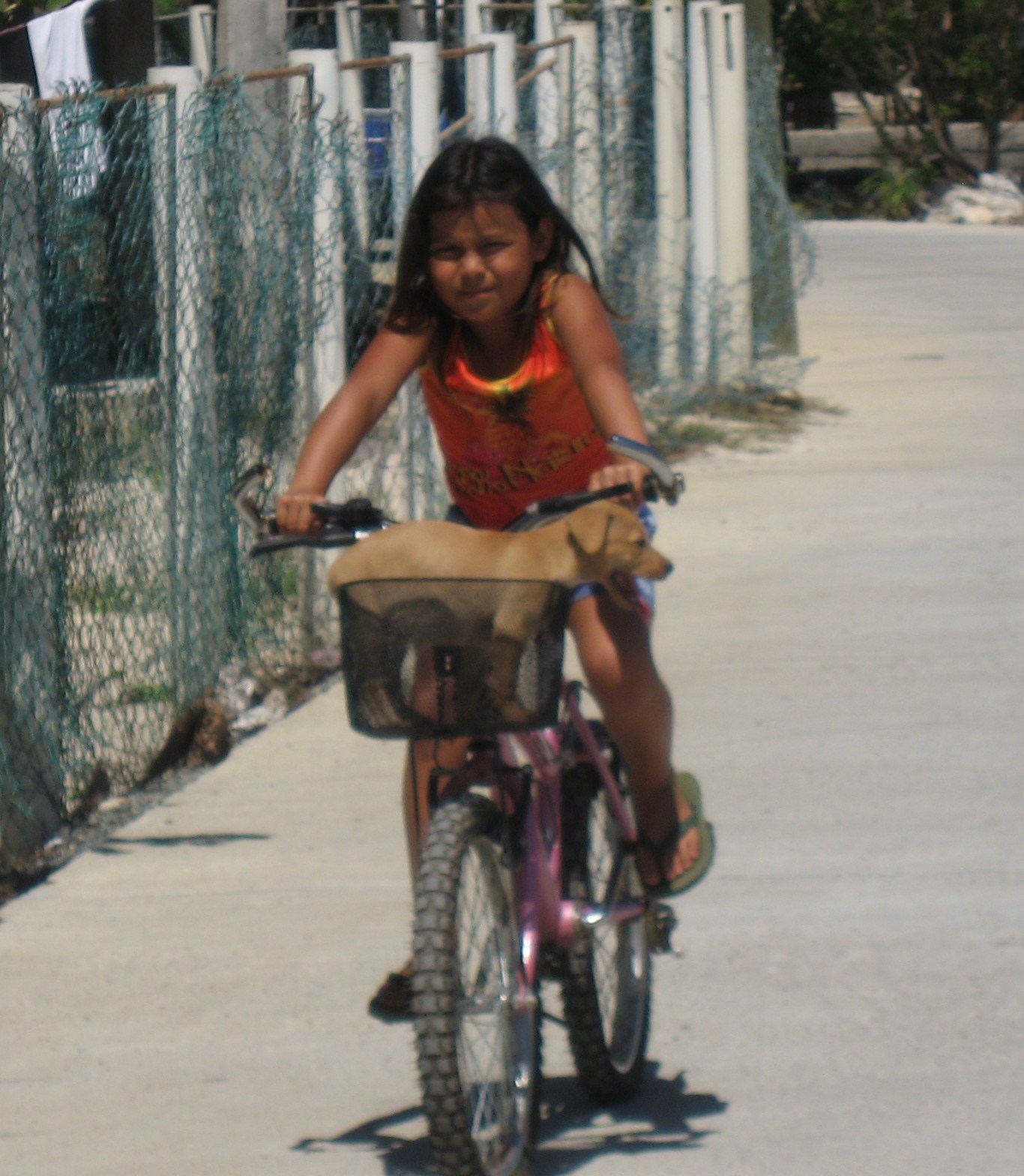 [honduras+027.JPG]