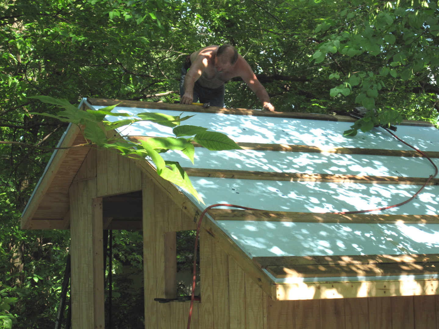 Deliza Insulating an outdoor shed