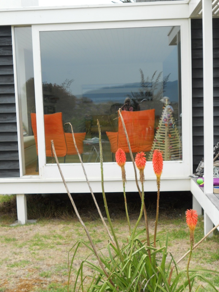 about last weekend The New New Zealand Bach