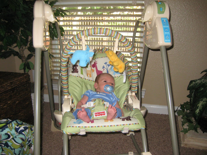 Alex loves his swing!  We just discovered it this week.