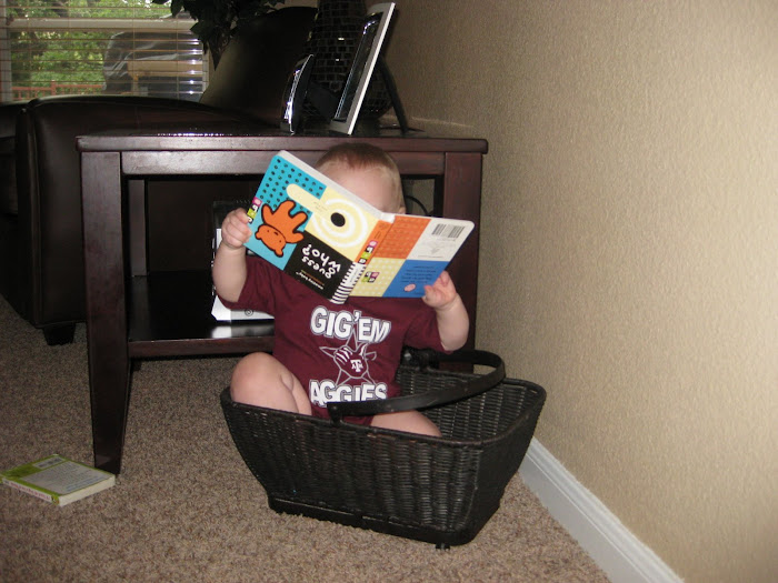 I think I will sit in my book basket to read