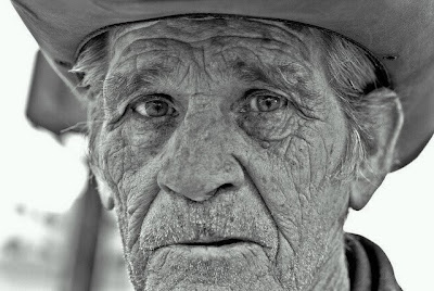 Click the image to open in full size.