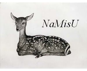 NaMisU