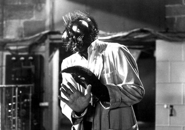 The Fly Remake