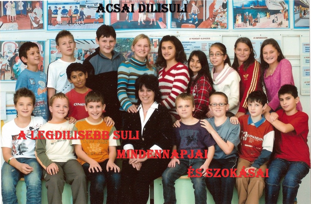 Acsai dilisuli