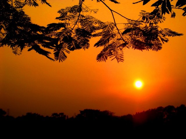 [lukisan+alam+pagi+(14).JPG]