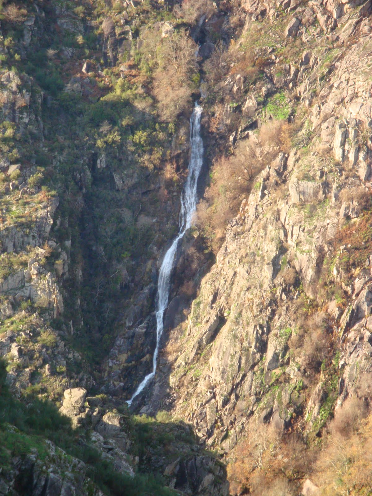 [DSC04090.JPG]