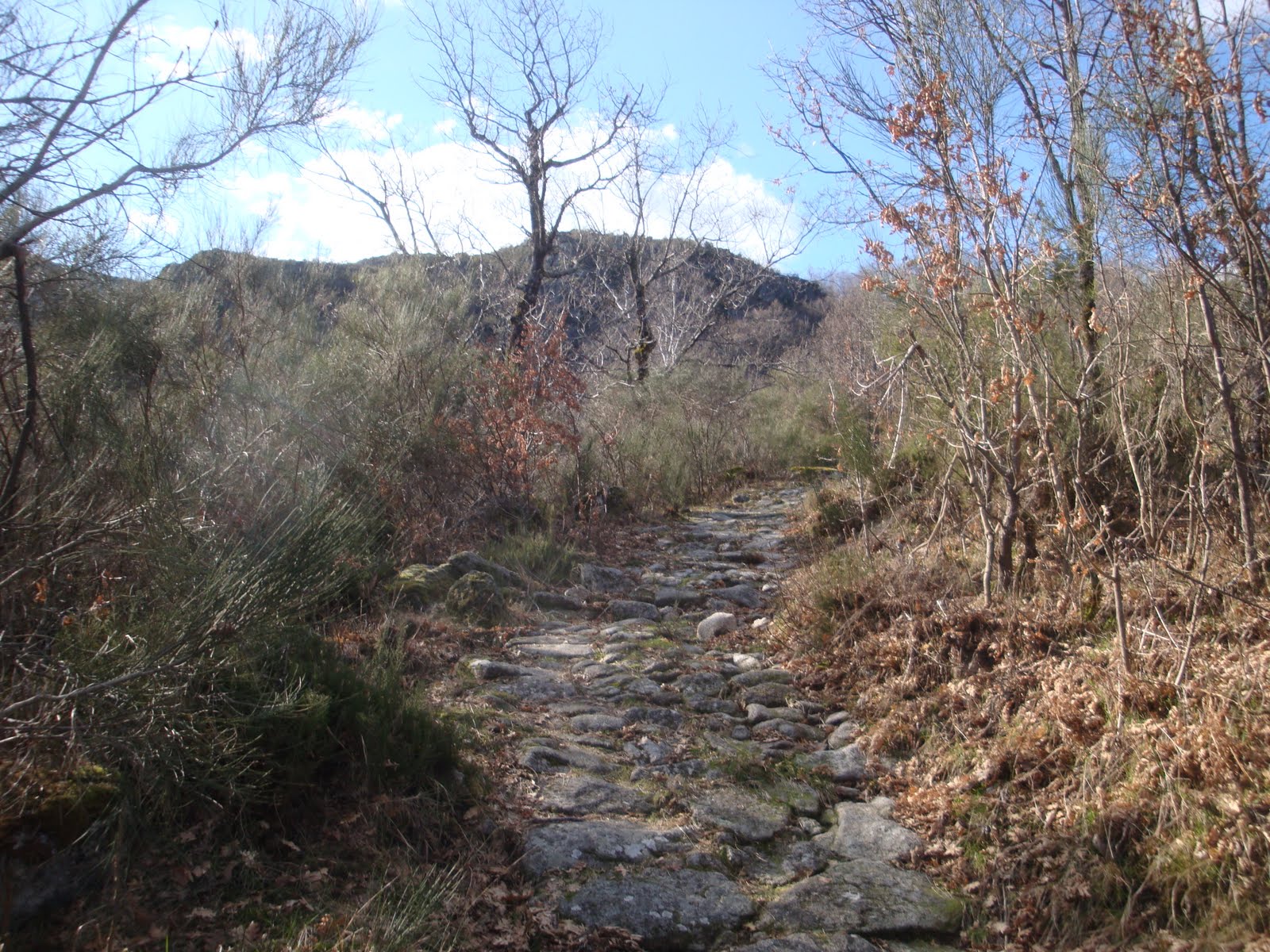 [DSC04411.JPG]