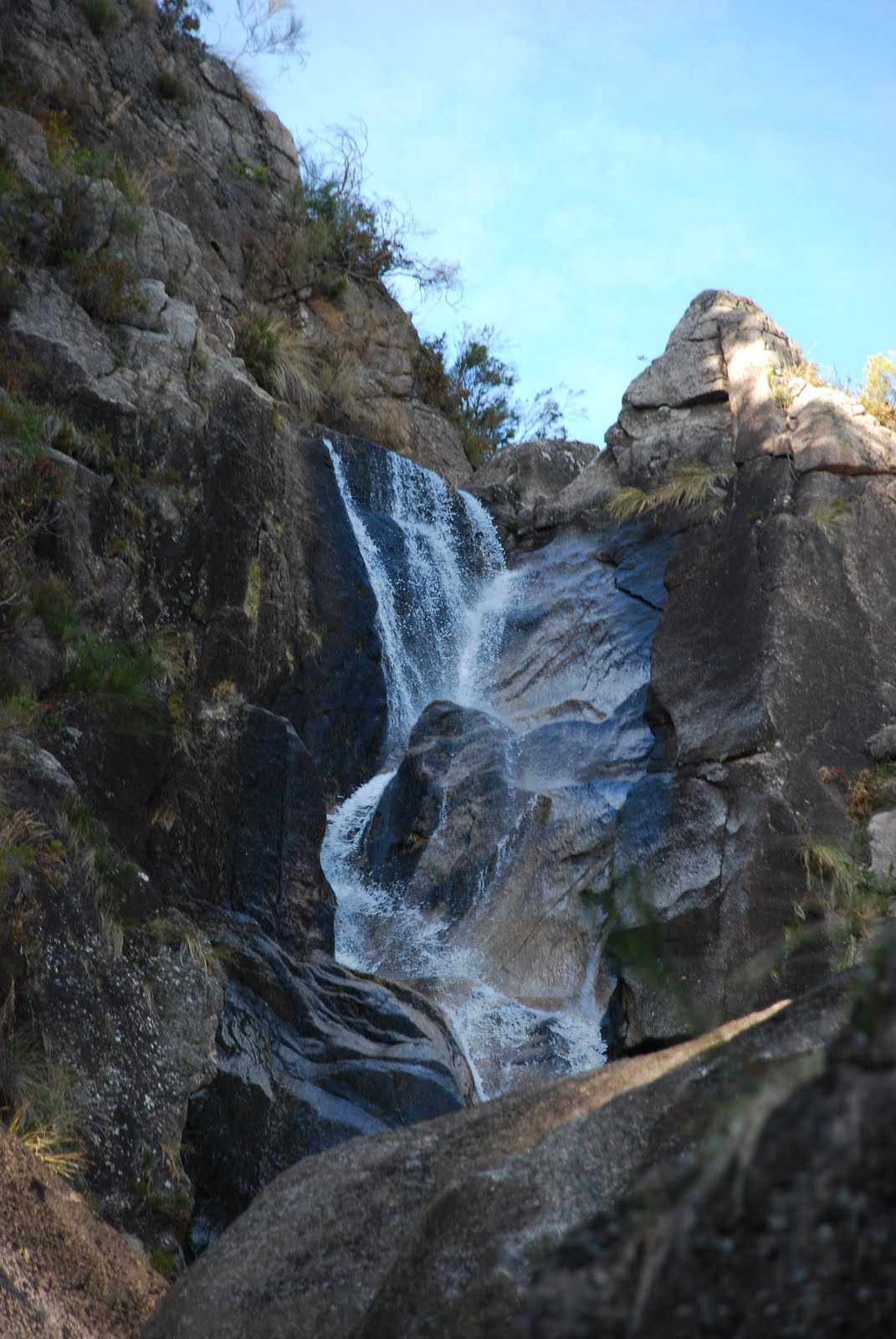 [DSC_1639.JPG]