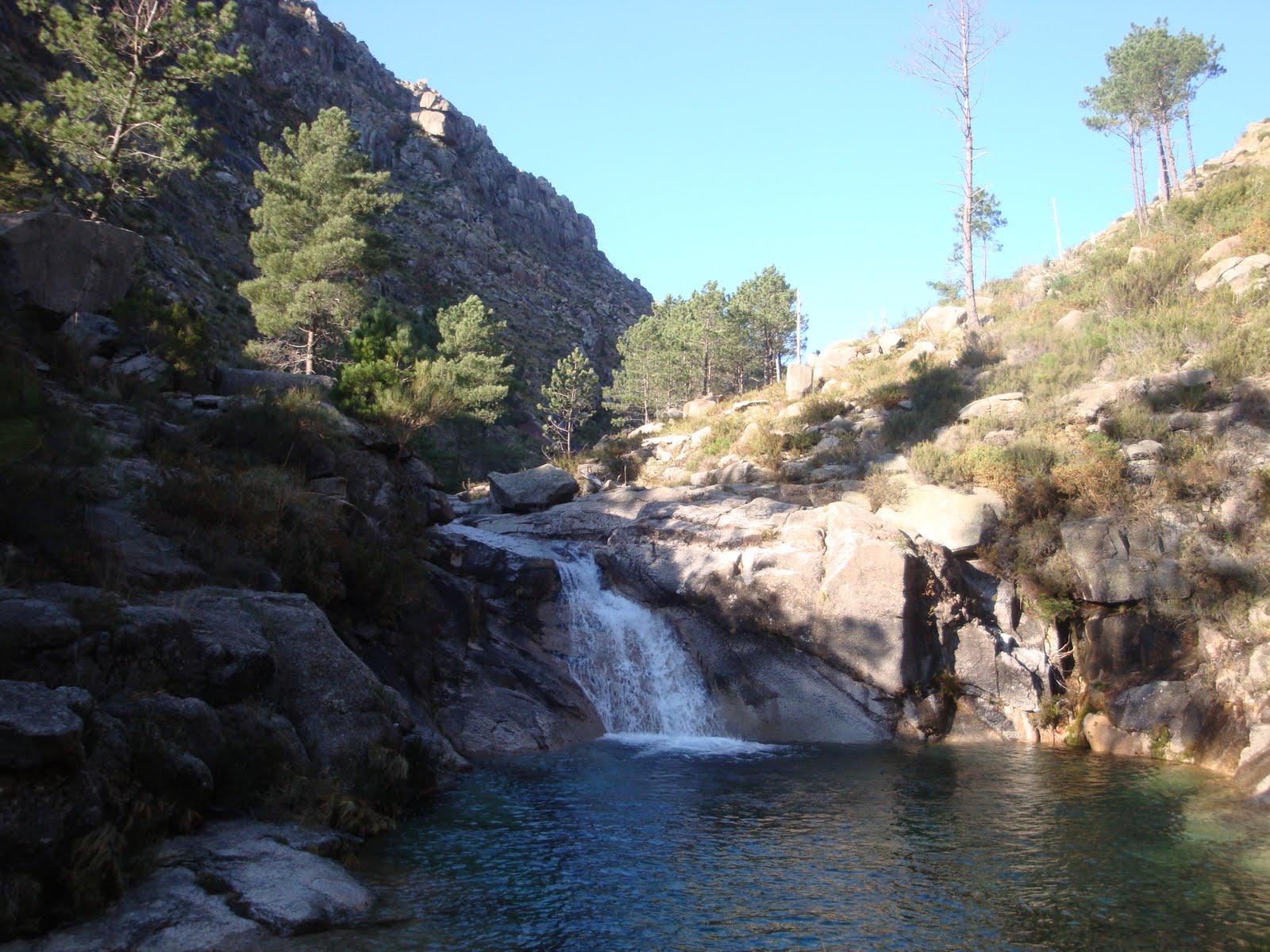 [DSC03428.JPG]