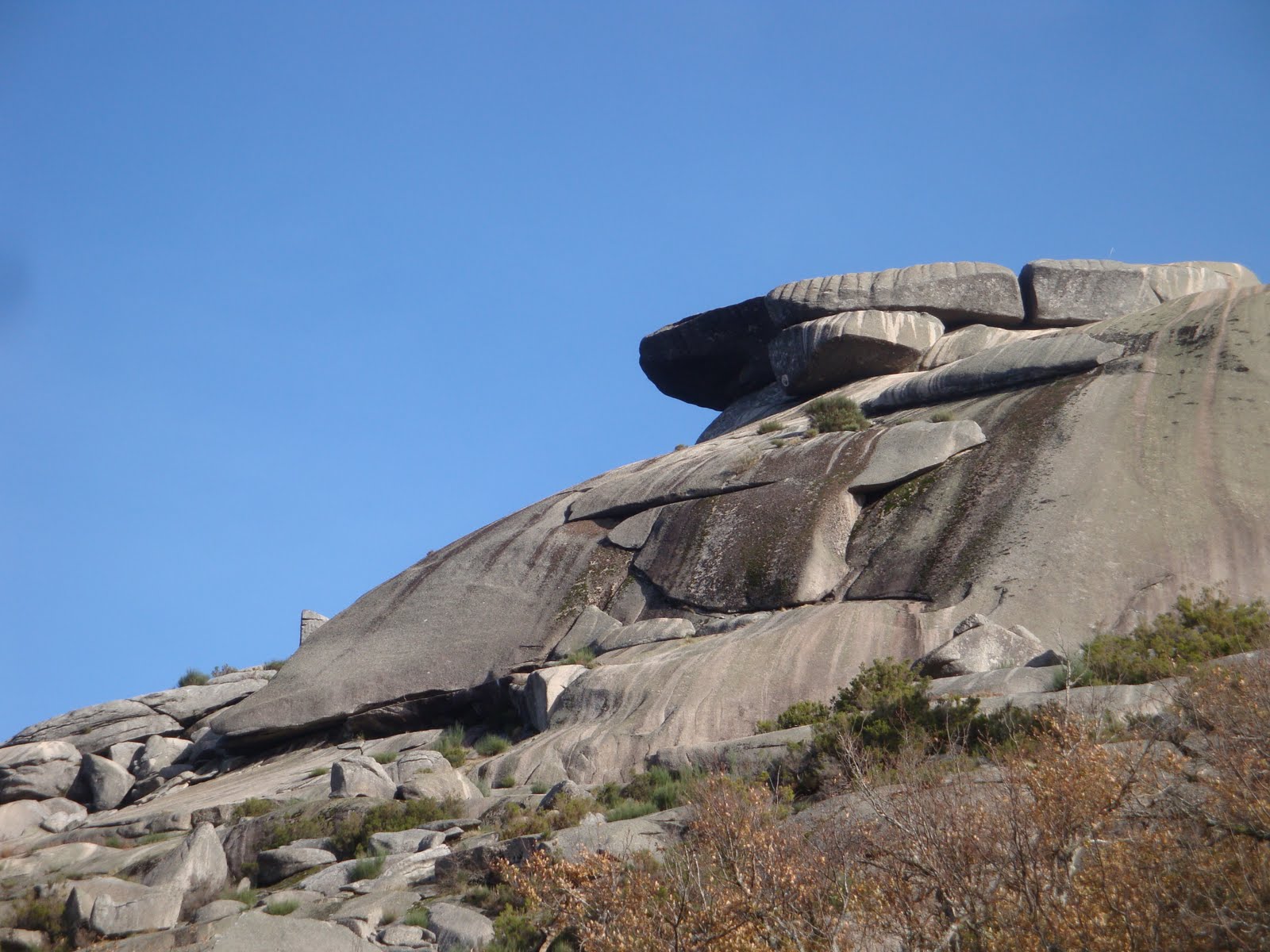 [DSC03551.JPG]
