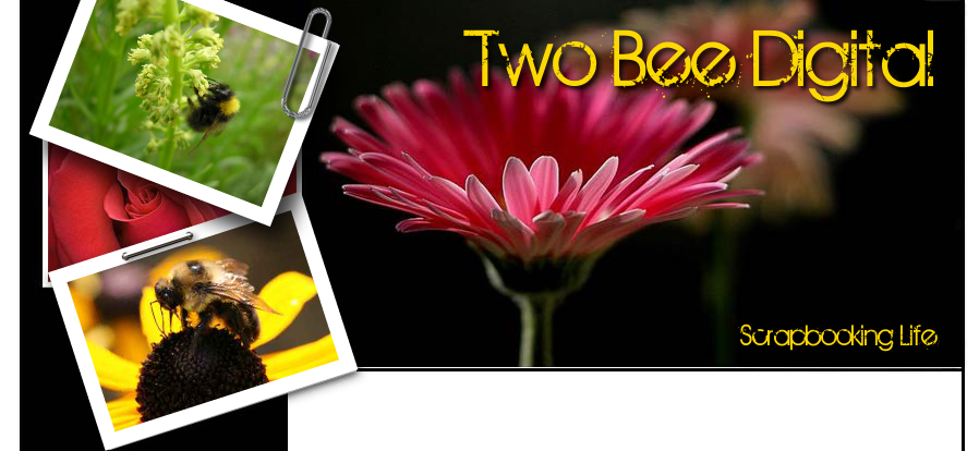 Two Bee Digital