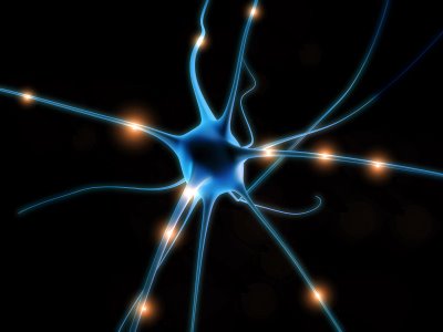 [neuron2.jpg]