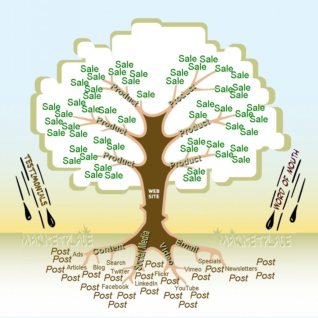 What is the Stores Ltd