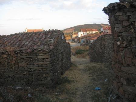 [IMG_2125.jpg]