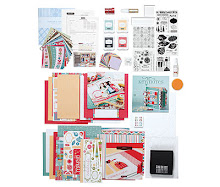 Fall 09 Consultant Kit