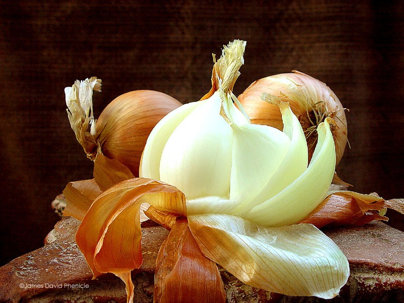 Little thoughts layers of the onion =)